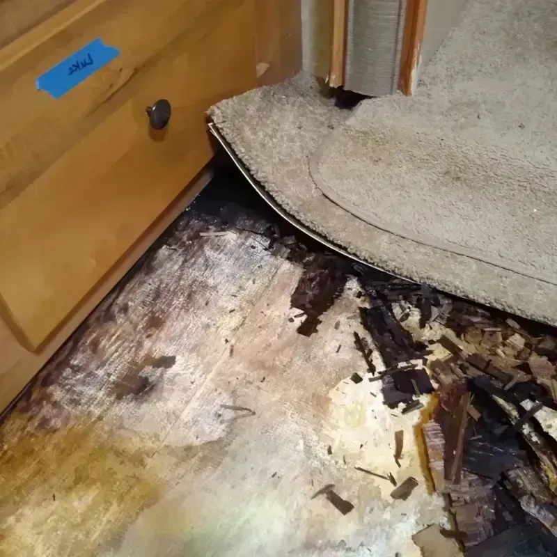 Wood Floor Water Damage in Landover, MD